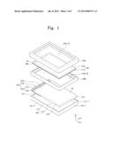 DISPLAY DEVICE diagram and image