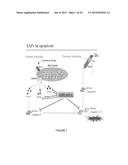 Catalytic Tagging System to Study Macro-Molecular Interactions Using     Engineered Ubiquitin Ligase and Ubiquitin-Like Proteins to Facilitate     Substrate Identification diagram and image