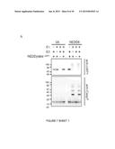 Catalytic Tagging System to Study Macro-Molecular Interactions Using     Engineered Ubiquitin Ligase and Ubiquitin-Like Proteins to Facilitate     Substrate Identification diagram and image