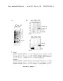 Catalytic Tagging System to Study Macro-Molecular Interactions Using     Engineered Ubiquitin Ligase and Ubiquitin-Like Proteins to Facilitate     Substrate Identification diagram and image