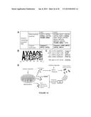 Catalytic Tagging System to Study Macro-Molecular Interactions Using     Engineered Ubiquitin Ligase and Ubiquitin-Like Proteins to Facilitate     Substrate Identification diagram and image