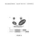 Catalytic Tagging System to Study Macro-Molecular Interactions Using     Engineered Ubiquitin Ligase and Ubiquitin-Like Proteins to Facilitate     Substrate Identification diagram and image