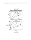 MODIFIED VITAMIN K-DEPENDENT POLYPEPTIDES diagram and image