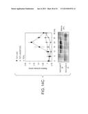 PHARMACEUTICALS AND METHODS FOR TREATING HYPOXIA  AND SCREENING METHODS     THEREFOR diagram and image