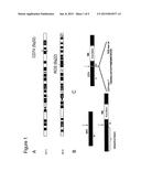 TRANSLOCATION AND MUTANT ROS KINASE IN HUMAN NON-SMALL CELL LUNG CARCINOMA diagram and image