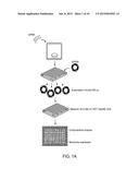 METHODS AND CELLS FOR THE PRODUCTION OF VIRAL VACCINES diagram and image