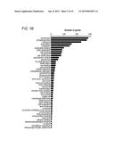 METHODS AND CELLS FOR THE PRODUCTION OF VIRAL VACCINES diagram and image