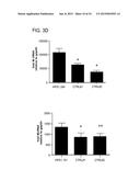 METHODS AND CELLS FOR THE PRODUCTION OF VIRAL VACCINES diagram and image