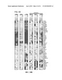 METHODS AND CELLS FOR THE PRODUCTION OF VIRAL VACCINES diagram and image