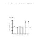 METHODS AND CELLS FOR THE PRODUCTION OF VIRAL VACCINES diagram and image