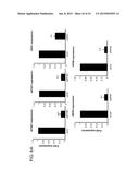 METHODS AND CELLS FOR THE PRODUCTION OF VIRAL VACCINES diagram and image