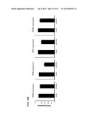 METHODS AND CELLS FOR THE PRODUCTION OF VIRAL VACCINES diagram and image