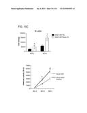 METHODS AND CELLS FOR THE PRODUCTION OF VIRAL VACCINES diagram and image