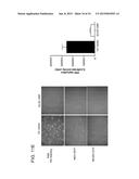 METHODS AND CELLS FOR THE PRODUCTION OF VIRAL VACCINES diagram and image