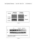 METHODS AND USE OF INDUCING APOPTOSIS IN CANCER CELLS diagram and image