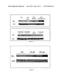 METHODS AND USE OF INDUCING APOPTOSIS IN CANCER CELLS diagram and image