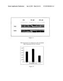 METHODS AND USE OF INDUCING APOPTOSIS IN CANCER CELLS diagram and image