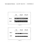 METHODS AND USE OF INDUCING APOPTOSIS IN CANCER CELLS diagram and image