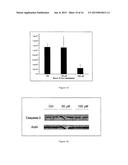 METHODS AND USE OF INDUCING APOPTOSIS IN CANCER CELLS diagram and image