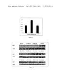 METHODS AND USE OF INDUCING APOPTOSIS IN CANCER CELLS diagram and image