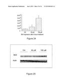 METHODS AND USE OF INDUCING APOPTOSIS IN CANCER CELLS diagram and image