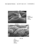 Transparent conductive electrodes comprising merged metal nanowires, their     structure design, and method of making such structures diagram and image