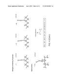 STABLE CYCLING OF LITHIUM SULFIDE CATHODES THROUGH STRONG AFFINITY WITH     MULTIFUNCTIONAL BINDERS diagram and image