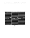 Polysiloxane Substrates with Highly-Tunable Elastic Modulus diagram and image