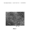 PROCESSING BIOMASS diagram and image