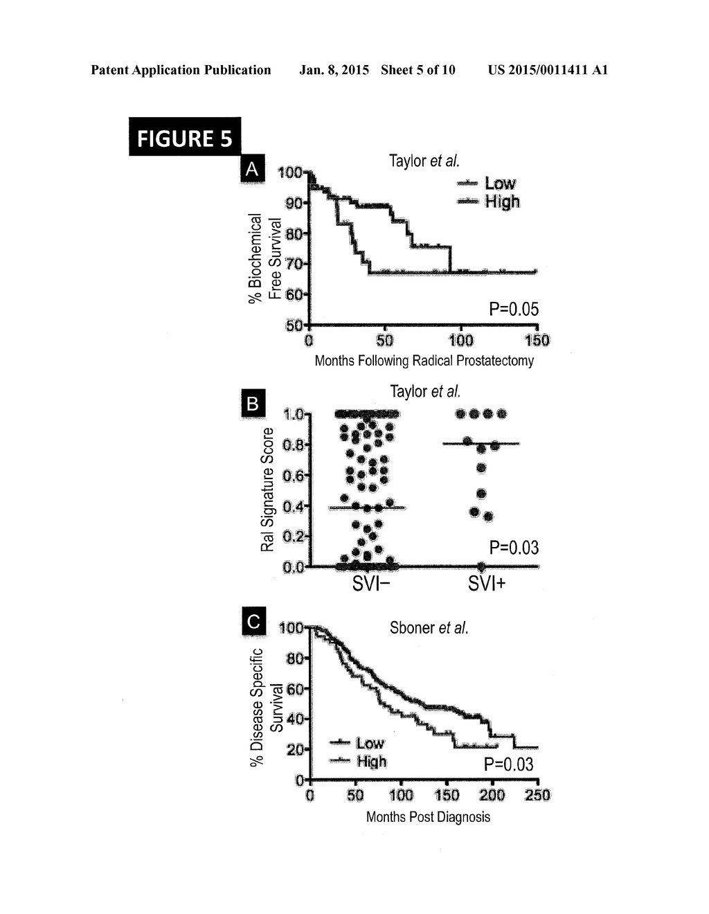 BIOMARKERS OF CANCER - diagram, schematic, and image 06