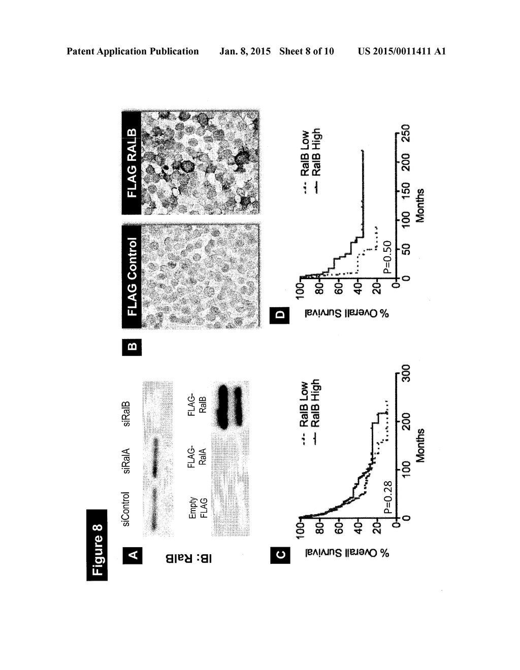 BIOMARKERS OF CANCER - diagram, schematic, and image 09