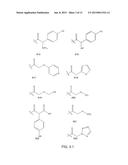 BROAD SPECTRUM BETA-LACTAMASE INHIBITORS diagram and image