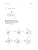 INHIBITORS OF HIV REPLICATION diagram and image