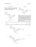 PYRIDAZINONE DERIVATIVES diagram and image