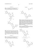 PYRIDAZINONE DERIVATIVES diagram and image