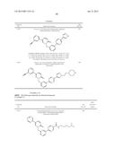 PYRIDAZINONE DERIVATIVES diagram and image