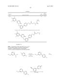 PYRIDAZINONE DERIVATIVES diagram and image