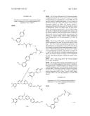 PYRIDAZINONE DERIVATIVES diagram and image