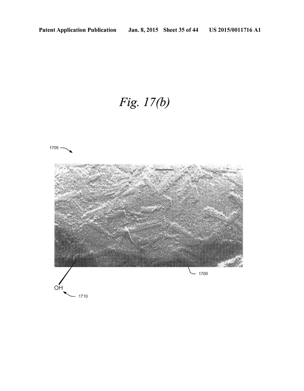 Antipathogenic Guanidinium Copolymer - diagram, schematic, and image 36