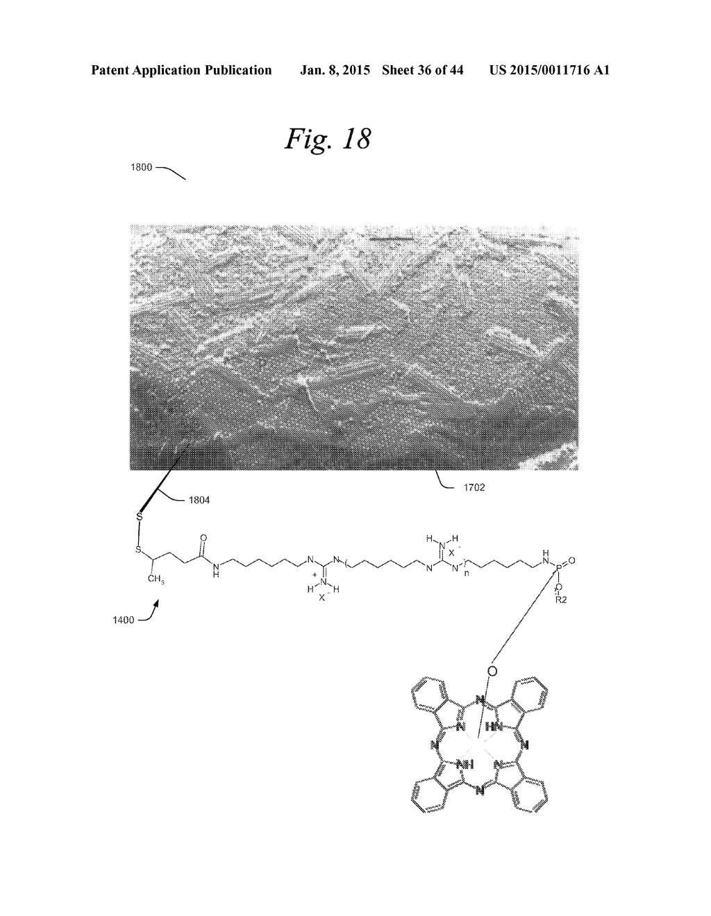 Antipathogenic Guanidinium Copolymer - diagram, schematic, and image 37