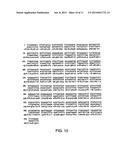 POLYMER CONJUGATES OF INTERFERON BETA-1A AND USES diagram and image