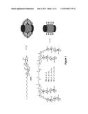 TANDEM FACIAL AMPHIPHILES diagram and image