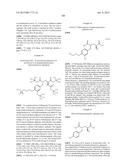 RADIOLABELED AMINO ACIDS FOR DIAGNOSTIC IMAGING diagram and image