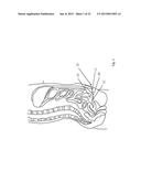 METHODS AND DEVICES FOR THE DIAGNOSIS AND TREATMENT OF DIABETES diagram and image