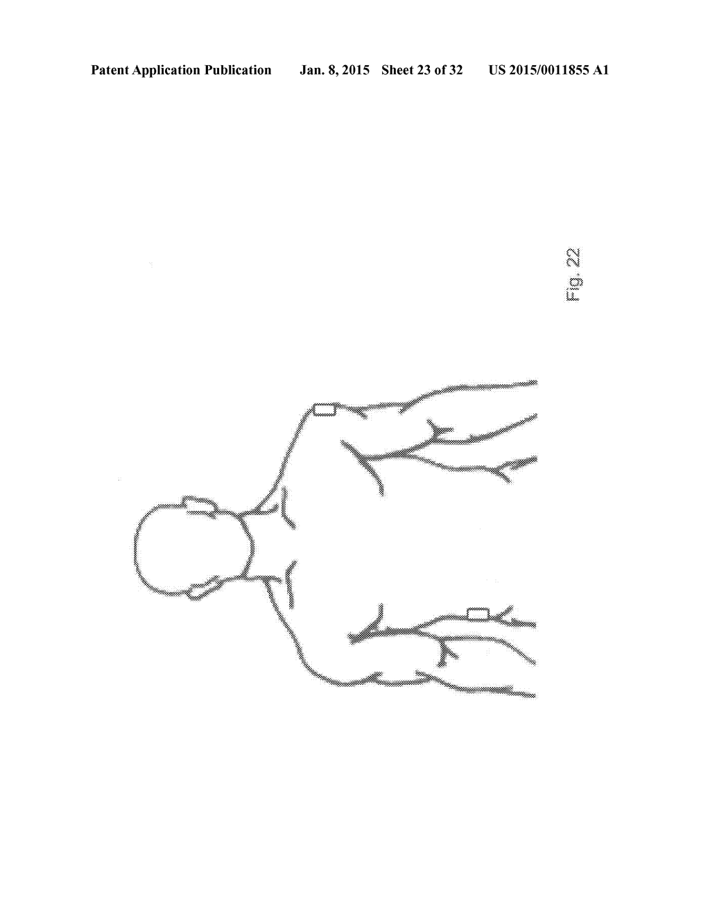 METHODS AND DEVICES FOR THE DIAGNOSIS AND TREATMENT OF DIABETES - diagram, schematic, and image 24