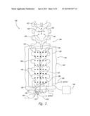 SYSTEMS AND METHODS FOR DETECTING INTRATHECAL PENETRATION diagram and image