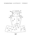 Carton Having A Container And A Carrier diagram and image