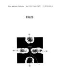 NANODEVICE AND METHOD FOR FABRICATING THE SAME diagram and image