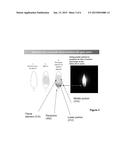 Electric Candles With Luminescent Material diagram and image