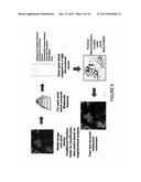 SETTLEMENT MAPPING SYSTEMS diagram and image